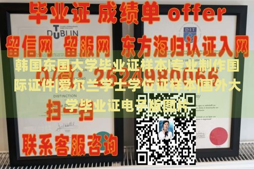 韩国东国大学毕业证样本|专业制作国际证件|爱尔兰学士学位证样本|国外大学毕业证电子版图片